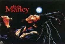 Bob Marley - Bob Marley with his dreads, with his power!