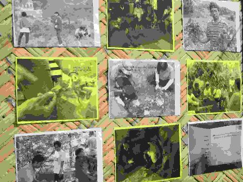 photogallery on-farm - These are pictures of activities we did with farmers trying to learn about sweetpotato crop management.