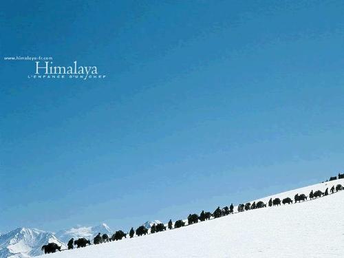 Himalayas - The Himalayas one of the best tuorism spots of India which is attractingthe forieng tourism and increasing the glory of India.