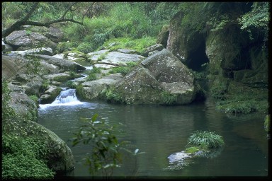lake is calm - calm lake shh