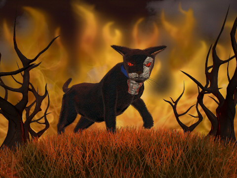 Evil Bob - Bob - The Evil Cat