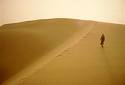 desert - vast expanse of dry desert.
