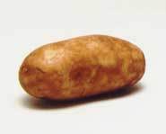 Potato - I like potatoes. Potatoes are good for you. Some people think they are bad for you because they have a lot of starch and carbohydrates, but you can actually lose weight and still eat potatoes.