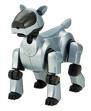 Aibo Robot - the photo of aibo robot
