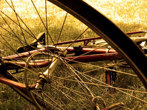 Golden Bicycle - With a friend nearing the late afternoon, playing around in a park with my camera. This is a picture of the cool bicycle he had at the time.  Toronto, Ontario, Canada 2004.