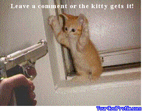 leave a comment kitty - kitty gonna get shot if no comments