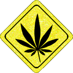 a sparkling weed picture - a weed picture
