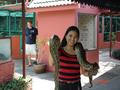 snake farm, bangkok - when i was in bangkok