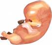 life! - keep them alive!