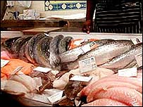 Fish - Fish good for health Fish - Fish good for health