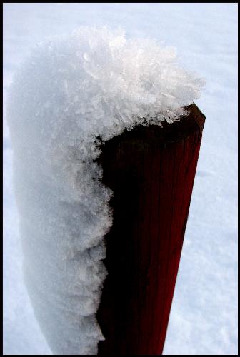 Snow - A little bit snow again, enjoy