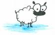 Sheep - A picture of a sheep a term given to people who follow the crowd