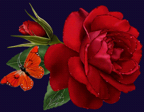 Red Roses - I have this as wallpaper but they really moves.Sorry you can't see it here.