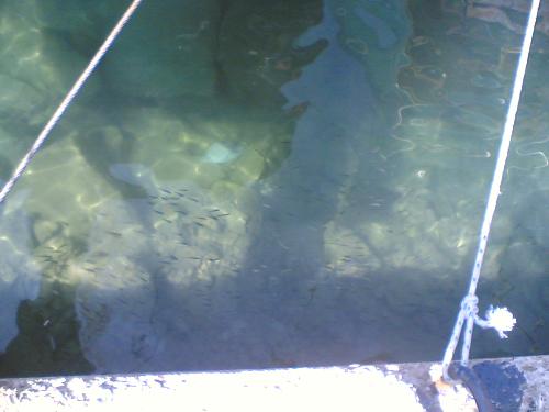 water - the sea
