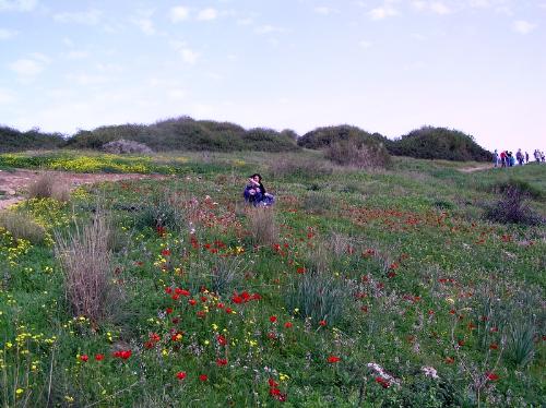 israel - near to NAHAL ALEXANDER in Israel!