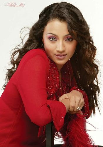 Trisha - Tamil Films No1 heroine.