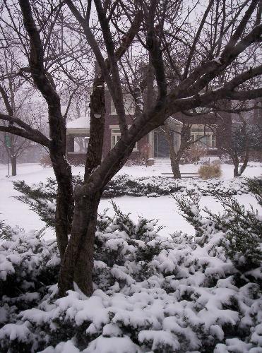 Snow White - This picture was taken last winter (200?). Back then, I was in Ottawa, trying to get a job. I should have come to Montreal earlier...
