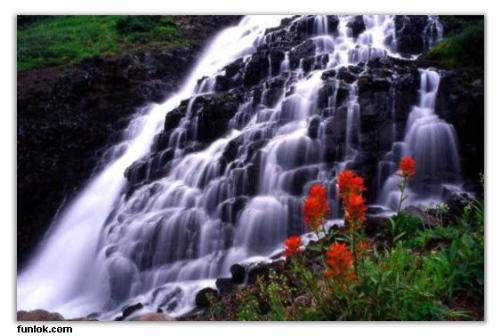 nature - nature is beautiful.right?