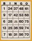Bingo card - A bingo card used to play the game of bingo