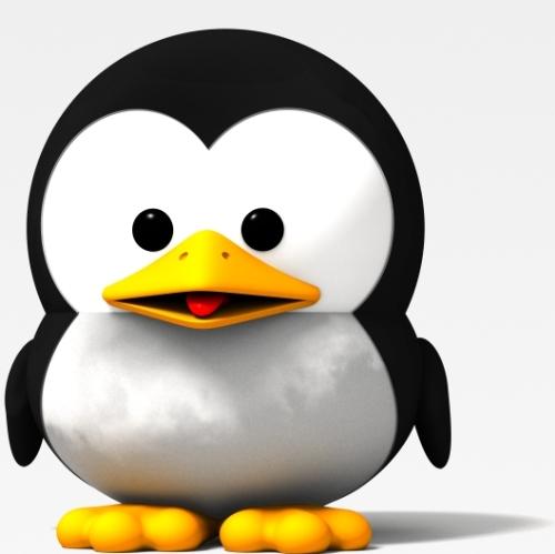 Small Tux - Nice photo of Small Tux