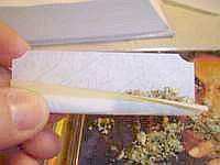 Fill the paper - Fill the paper with roach and the weed, spread them out until even