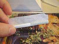 Roll it up - Make sure to make the tube fat enough to support the weight of the tulip