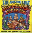 Sea Monkey - Sea Monkey zoo - So cute Sea Monkey - Sea Monkey zoo - So cute