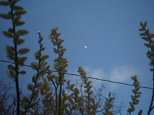 Dance - I did a photo report in High School about nature in the city... this is my favorite picture I've taken.