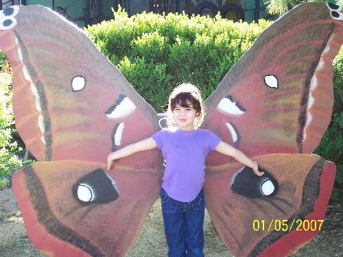 Spread Your Wings - This photo was taken at our local zoo. They have a butterfly area with different species of butterflies to look at. Next to the building is an area to become a butterfly. This is one of the pics we took there.