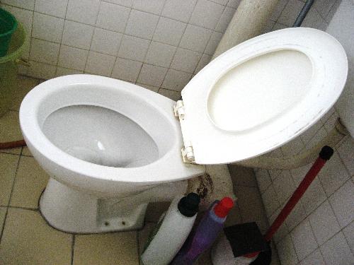 Toilet bowl. - A toilet bowl that could have done with more cleaning.