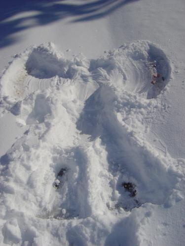 click to enlarge - This is what a snow angel looks like when you stand up out of it. Some people also call it a snow fairy. :)