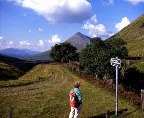 walking and or hiking - some person looking at a sign while on a hike/walk