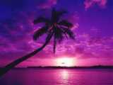 sunset - photos of sunset anywhere are the ultimate for me