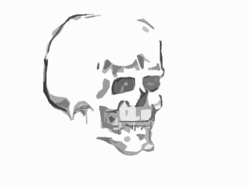 Skull - This a skull I drew while doodling with photoshop . It reminds of death .
