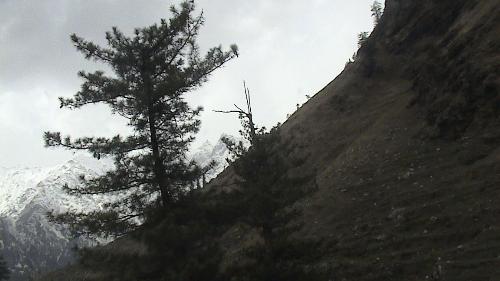 Side view of Manali - Side view of Manali beuty