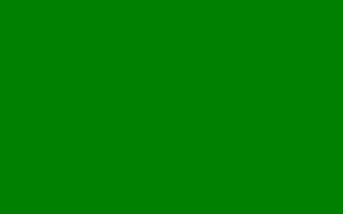 The flag of Libya - Green is the color of life and growth and richness .