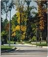 road, nature - nature