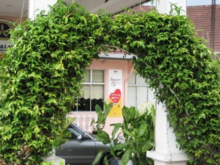 Green arch. - An arch grown with creeping plants outside the porch of a budget hotel.