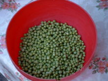 Green Peas - Yucky green vegetable