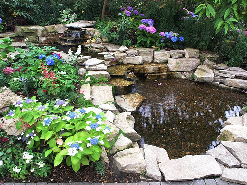 This is the flower pond of my dreams! - I'm hoping to have a flower pond in my yard this year.