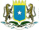falg - somalia falag