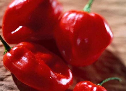 peppers - Artistic photo of peppers