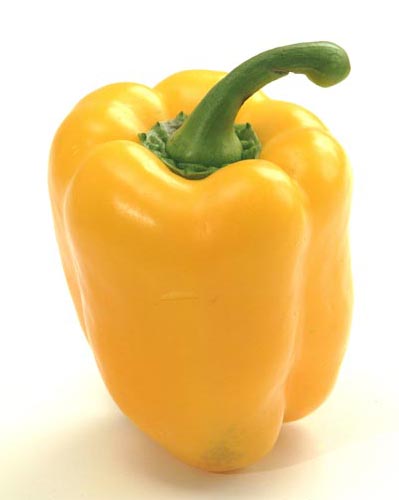 yellow pepper - another photo of pepper