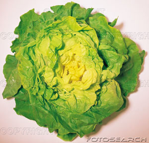 the veggie blame - he says i harvested it well infact its him...
