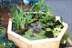 Gardening - How Beautiful
