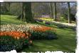 Gardening - My Favorite Hobby