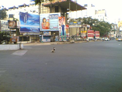 Dog's day - Lonely dog, a simile to many a life