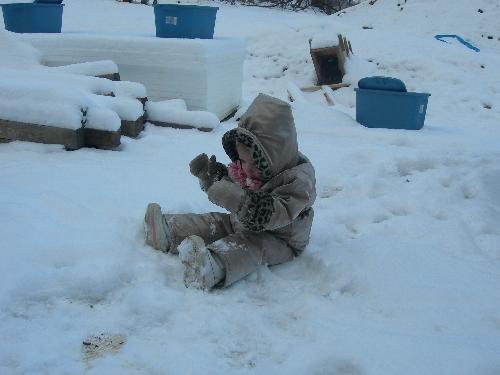 the weather out here! - my 18 month old in the first snow fall this year.