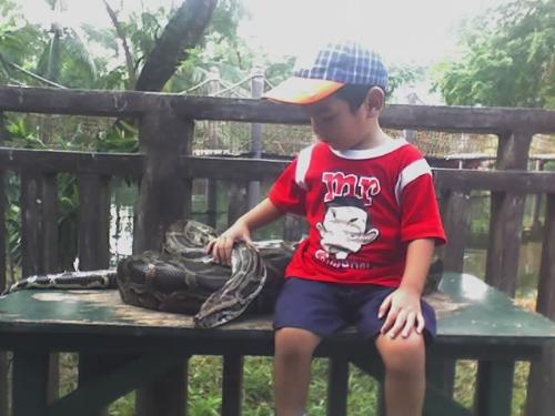 With the snake at the zoo - My brave son seating beside a python snake!