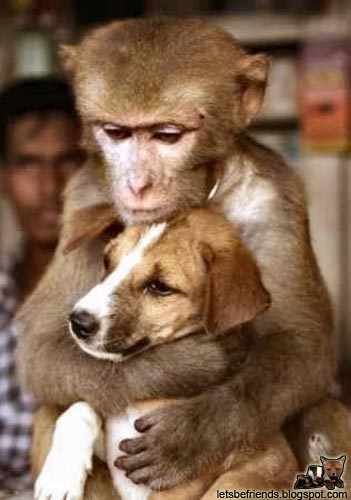 hugs - Hugs go a long way. Also good against stress and dis-ease. Have you Hugged someone you love today.